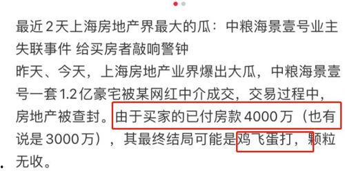 网红大瓜小说免费阅读,免费阅读背后的秘密与诱惑